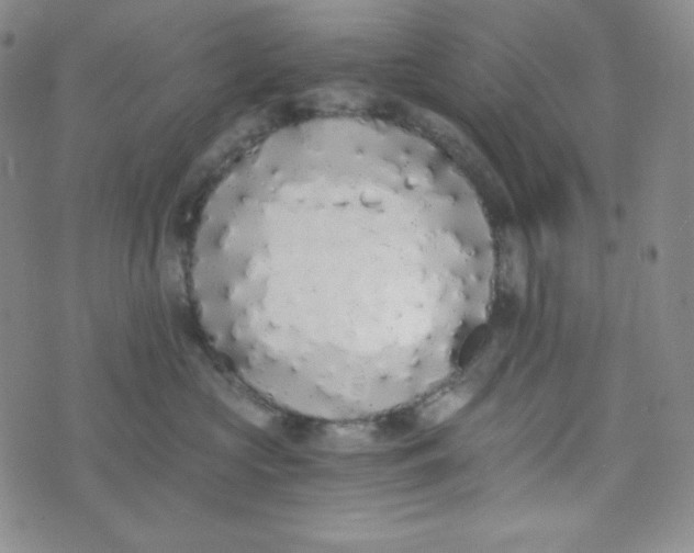 X0000076250573200610191652