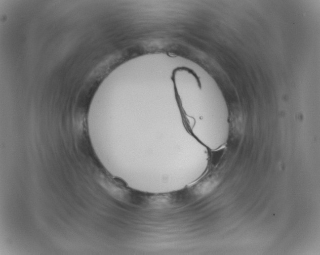 X0000076250574200610191652