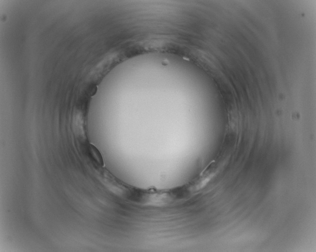 X0000076250575200610191652