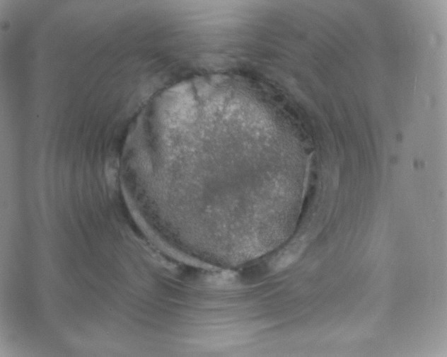 X0000076250576200610191652