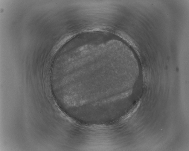 X0000076250577200610191651