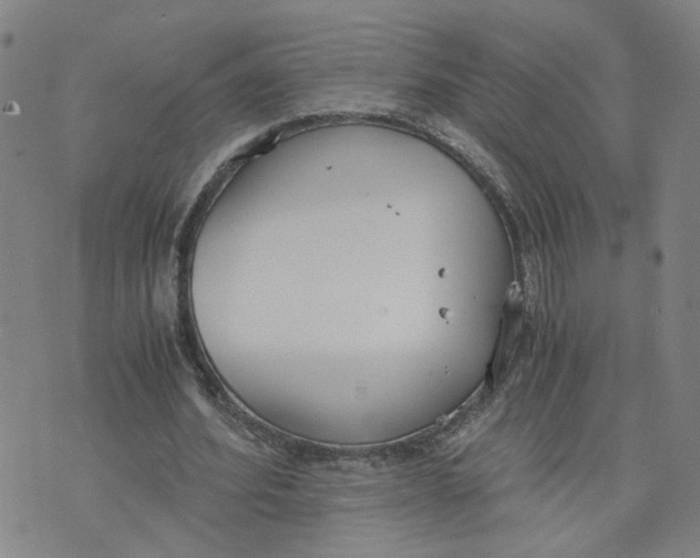 X0000076250580200610191651