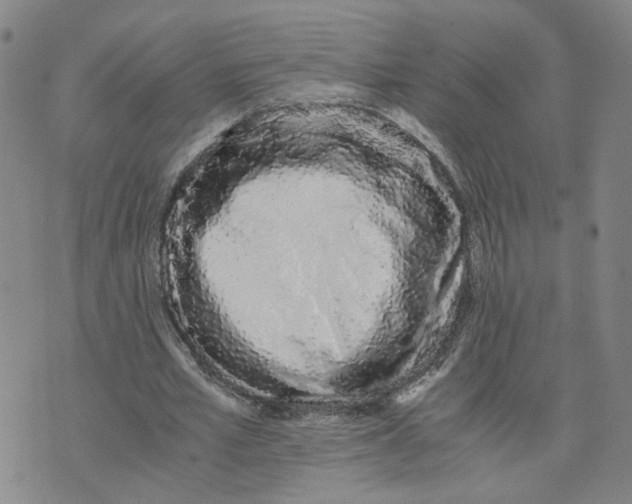 X0000076250581200610191651