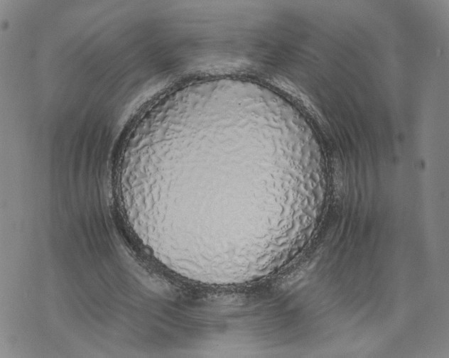 X0000076250582200610191651