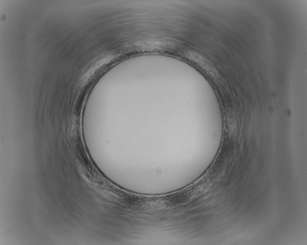 X0000076250583200610191651