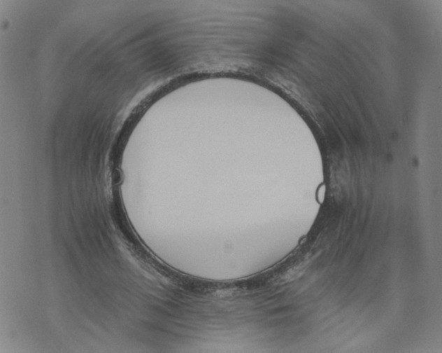 X0000076250584200610191651