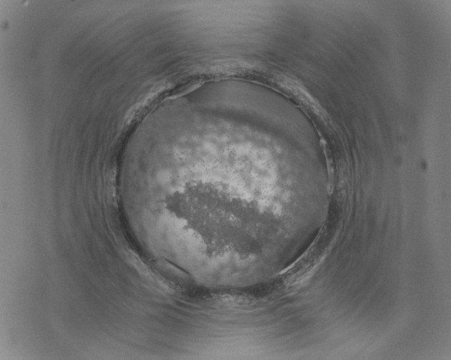 X0000076250585200610191651