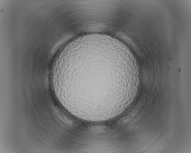 X0000076250586200610191651