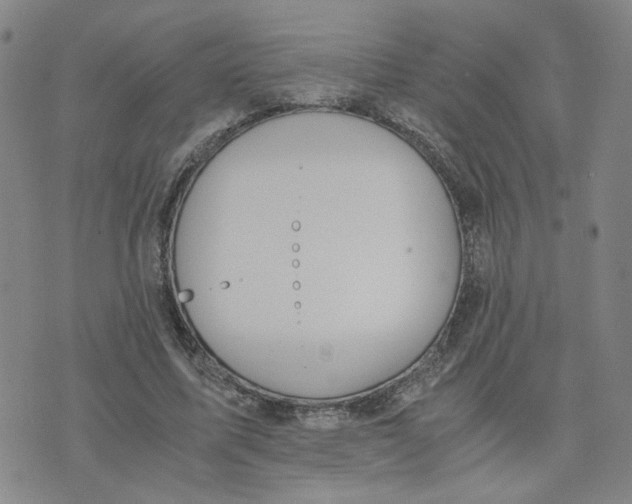 X0000076250587200610191651