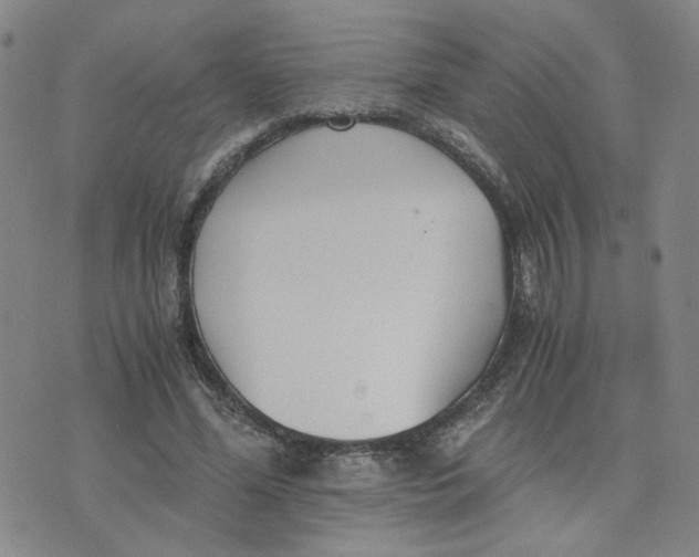 X0000076250588200610191651