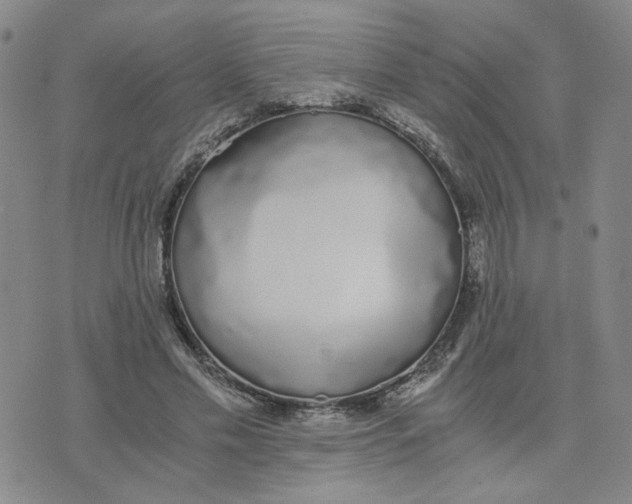 X0000076250589200610191651