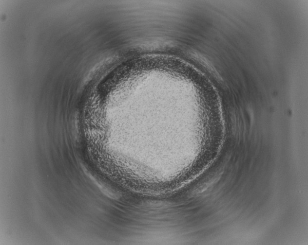 X0000076250590200610191651