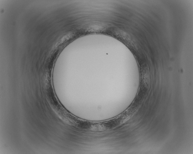 X0000076250591200610191651