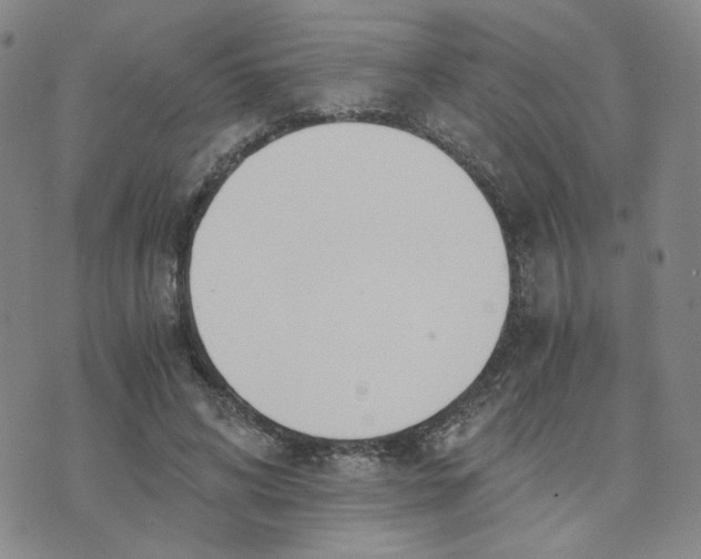 X0000076250592200610191651