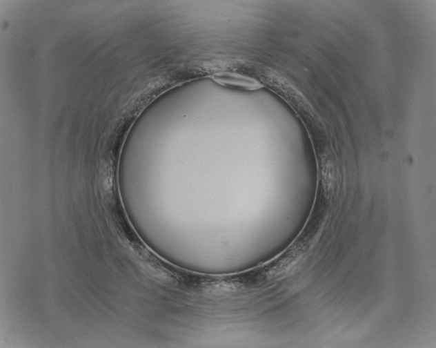 X0000076250593200610191651