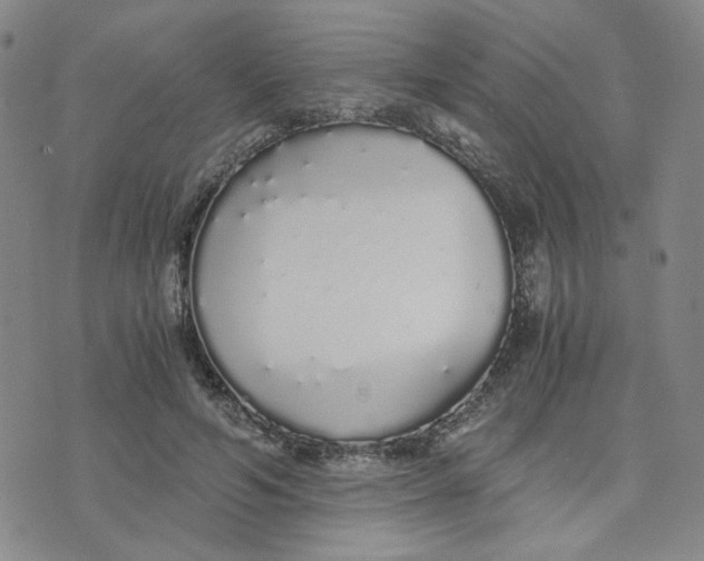 X0000076250594200610191651