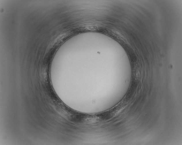 X0000076250595200610191651