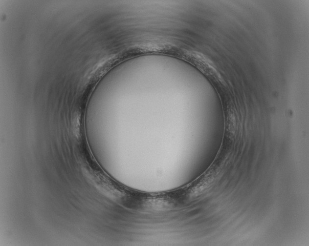 X0000076250596200610191651