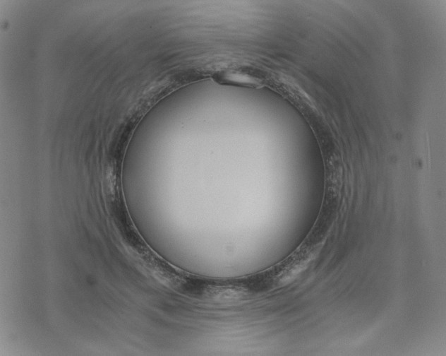 X0000076250597200610191651