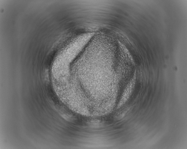 X0000076250598200610191651