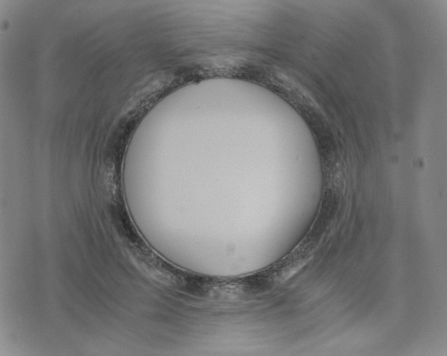 X0000076250599200610191651