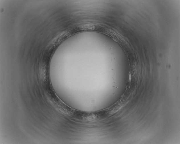 X0000076250600200610191651