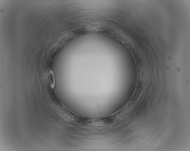 X0000076250601200610191651