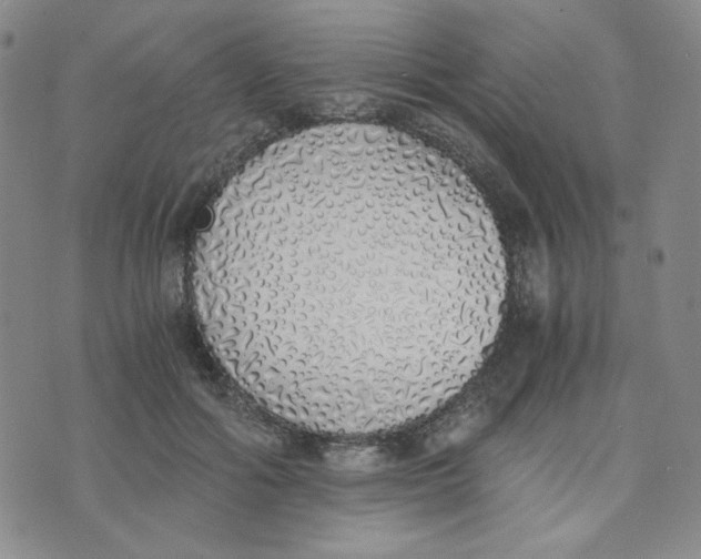 X0000076250602200610191651