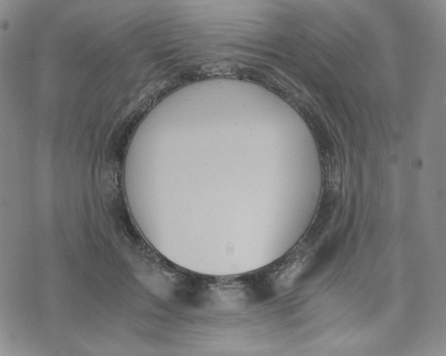 X0000076250603200610191650