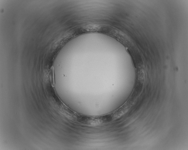 X0000076250604200610191650