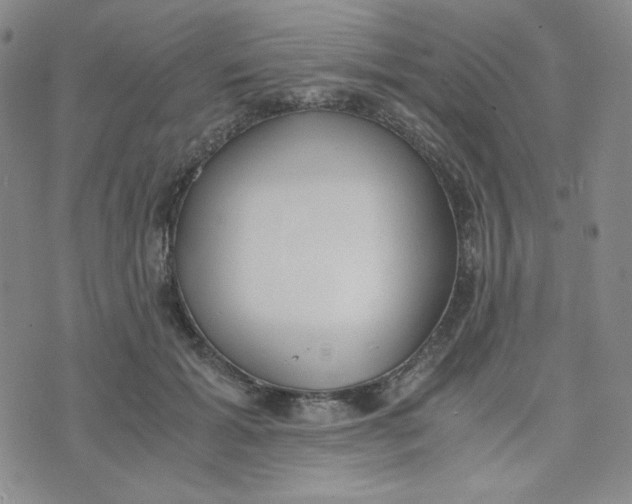 X0000076250605200610191650