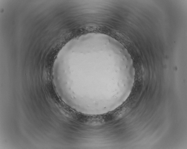 X0000076250606200610191650