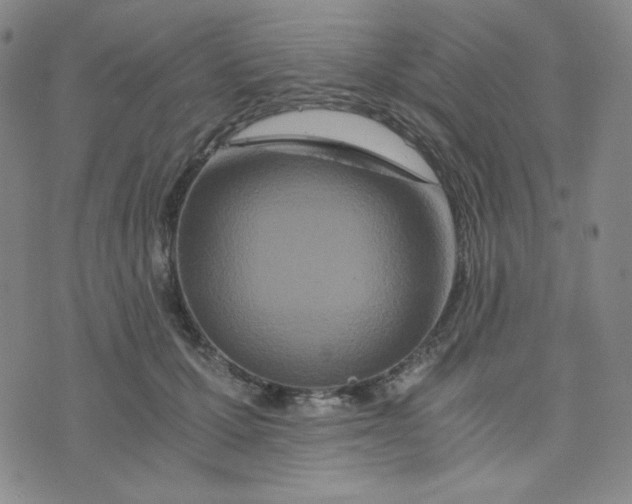 X0000076250607200610191650