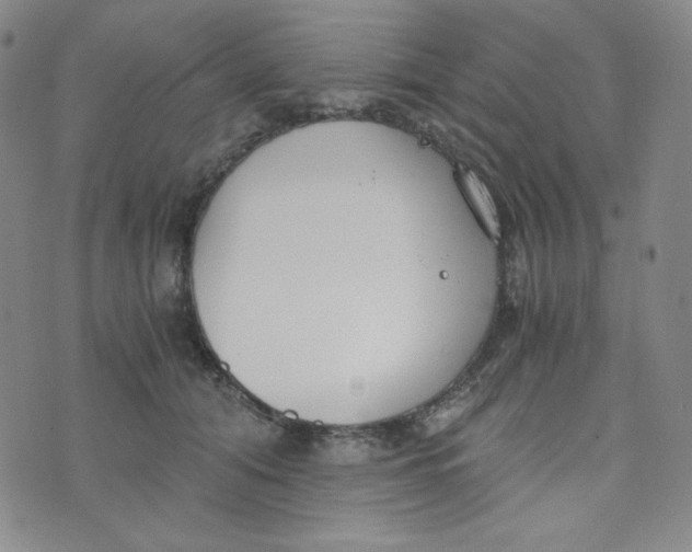 X0000076250608200610191650