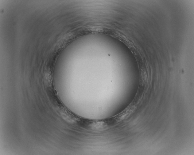 X0000076250609200610191650