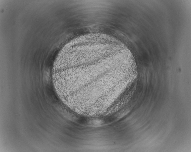 X0000076250610200610191650