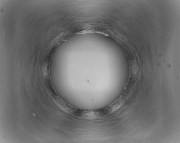 X0000076250611200610191650