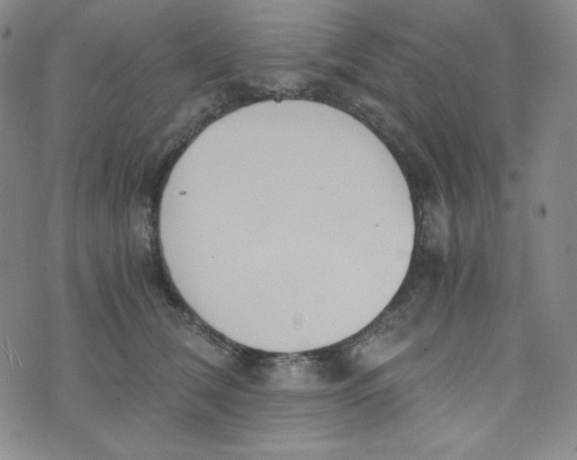 X0000076250612200610191650