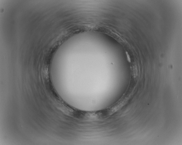 X0000076250613200610191650