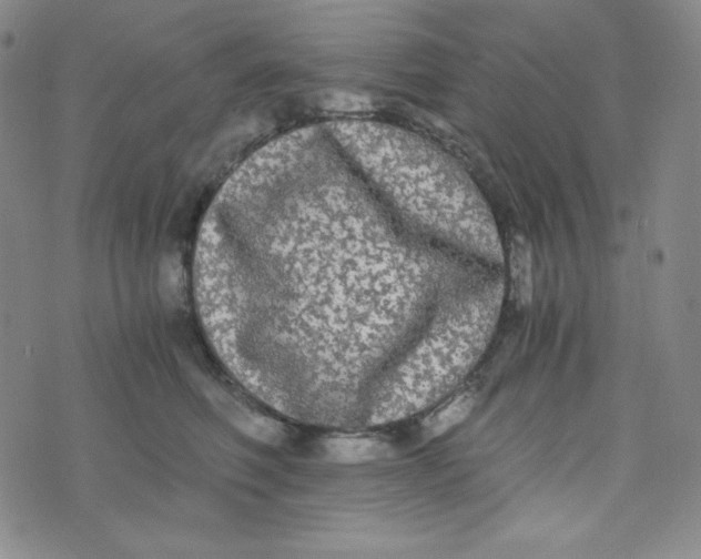 X0000076250614200610191650