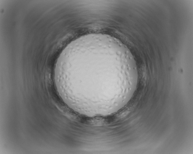 X0000076250615200610191650