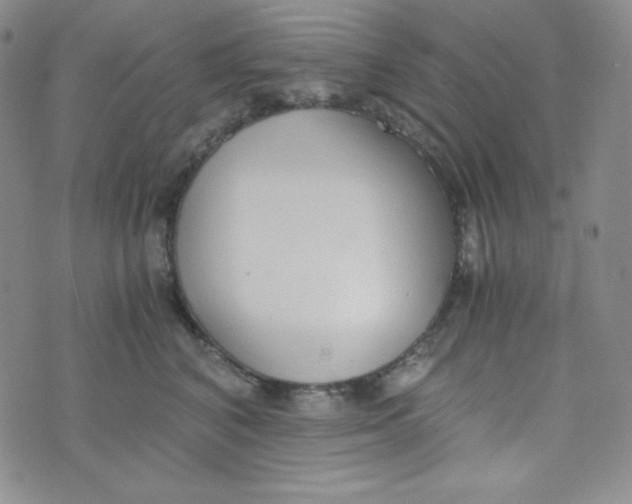 X0000076250616200610191650