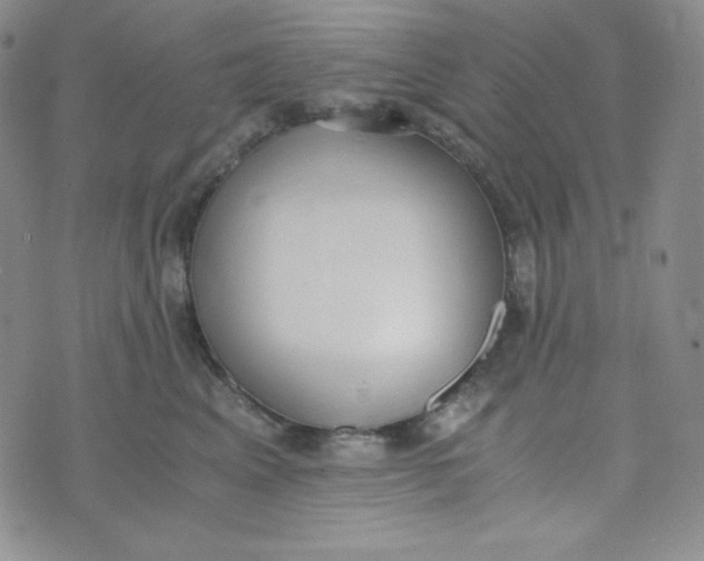 X0000076250617200610191650