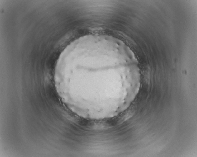 X0000076250618200610191650