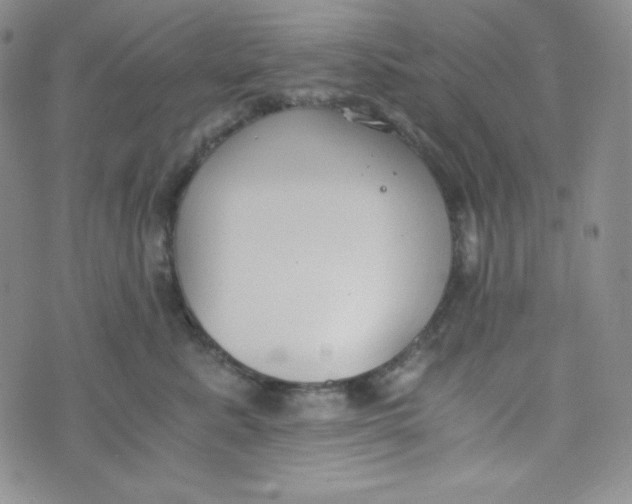 X0000076250619200610191650