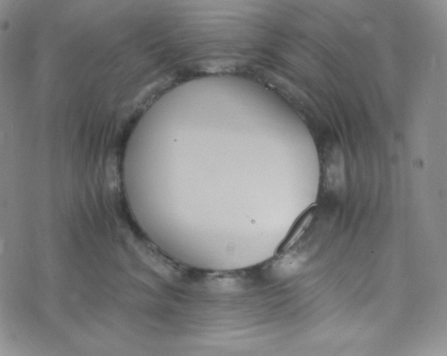 X0000076250620200610191650