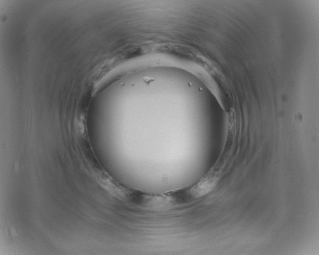 X0000076250621200610191650