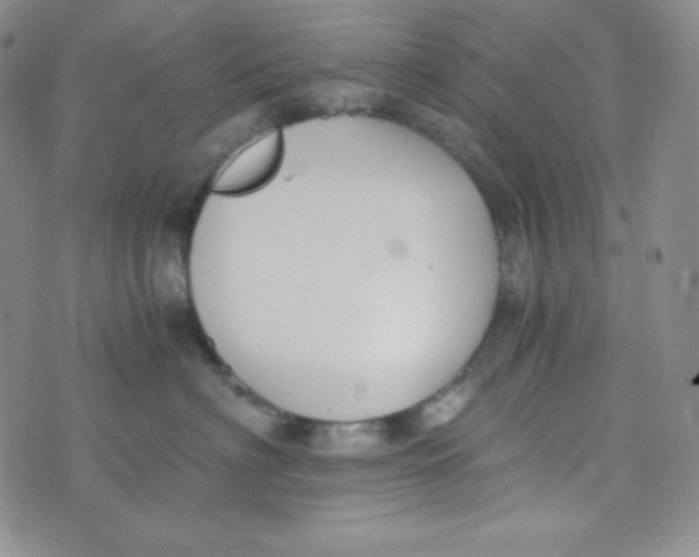 X0000076250622200610191650