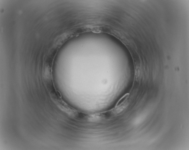 X0000076250623200610191650