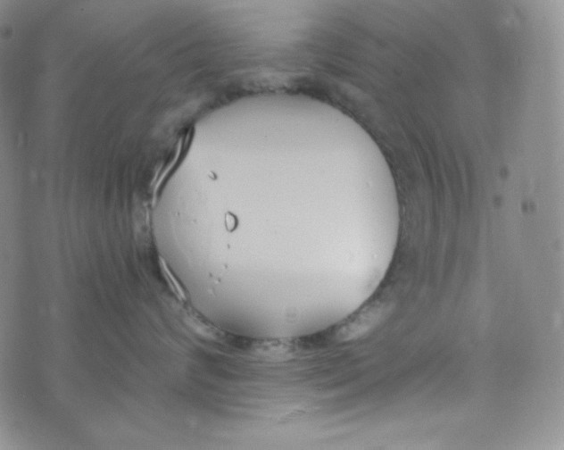 X0000076250624200610191650